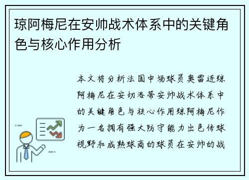 琼阿梅尼在安帅战术体系中的关键角色与核心作用分析